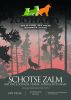 Puppy Schotse zalm 1